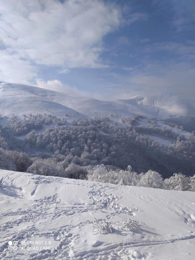 Sadyba Gostynniy Dvir Izki Exterior photo